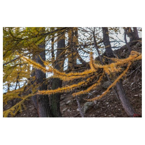 PHOTO84, CLUB, 84 , LUBERON